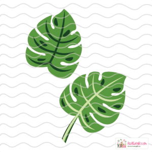 Feuilles Monstera SVG DXF