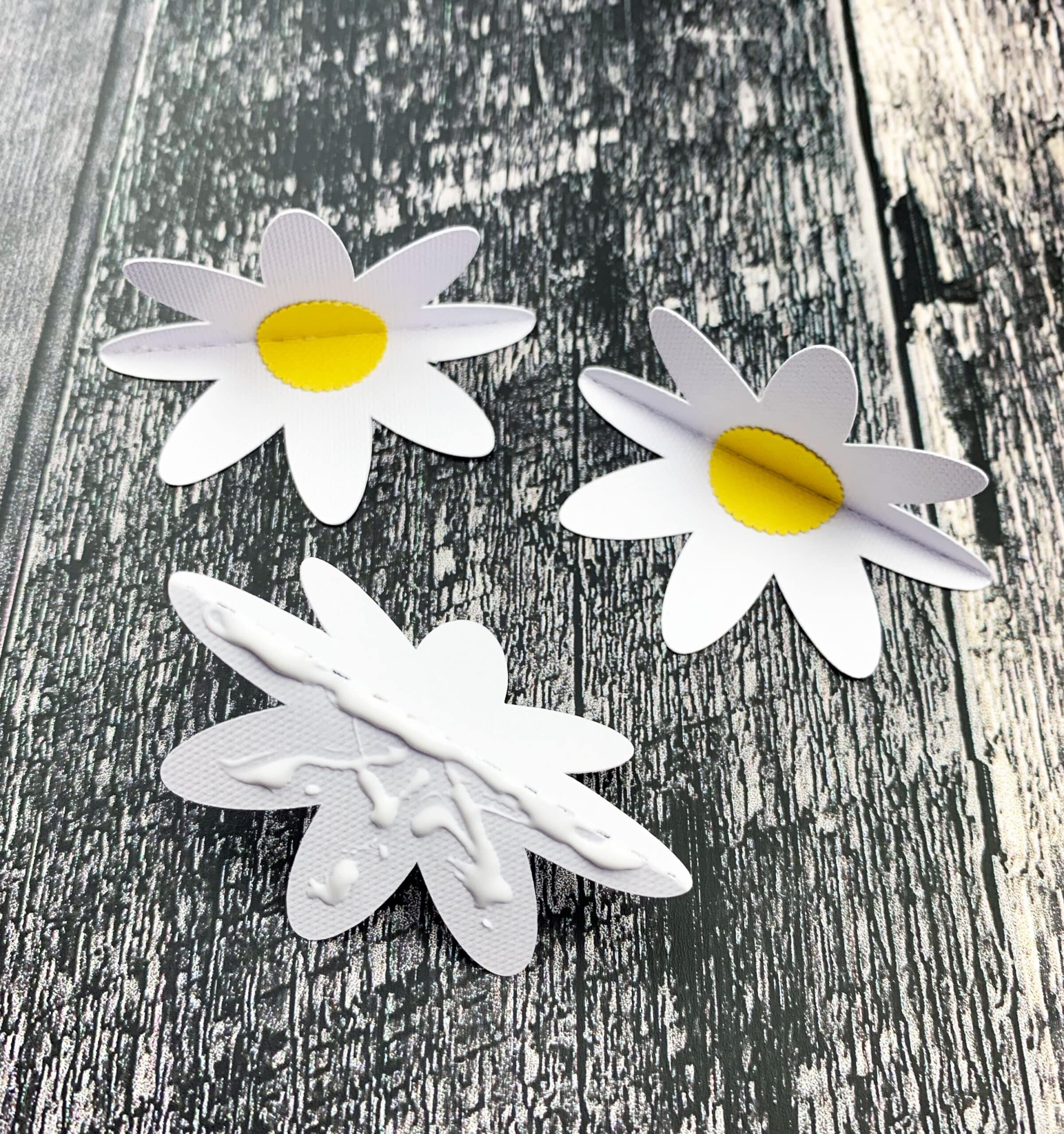 fleurs de papier 3d fichier svg cricut
